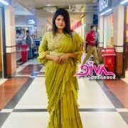 Exclusive Saree Pattern Dress