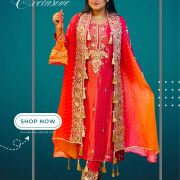Gujarati Koti Pattern Collection