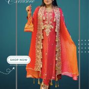 Gujarati shrug pattern dress