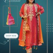 Gujarati shrug pattern dress