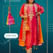 Gujarati Koti Pattern Collection